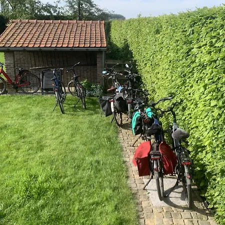 A L'etang Du Trieu Pecq